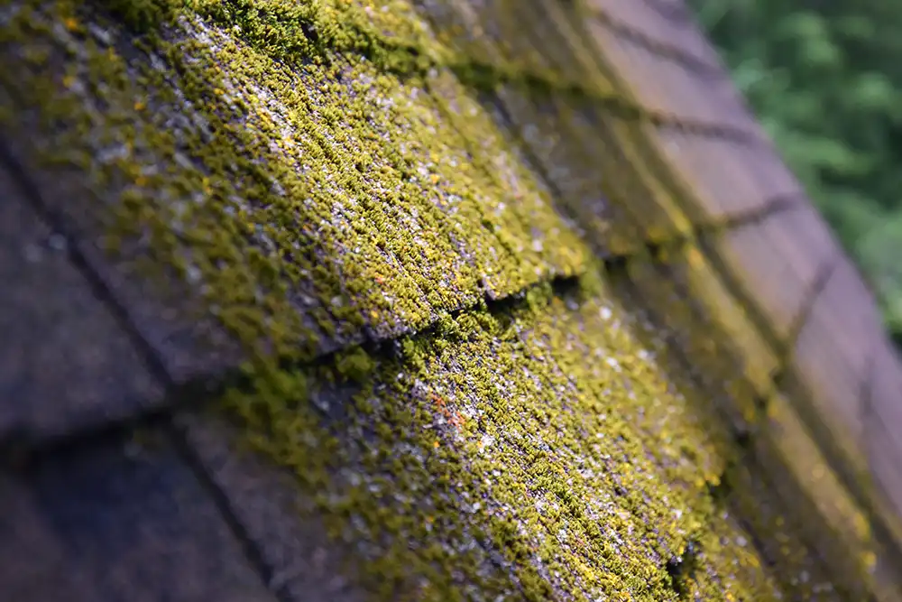 Common Fredericksburg Roofing Problems