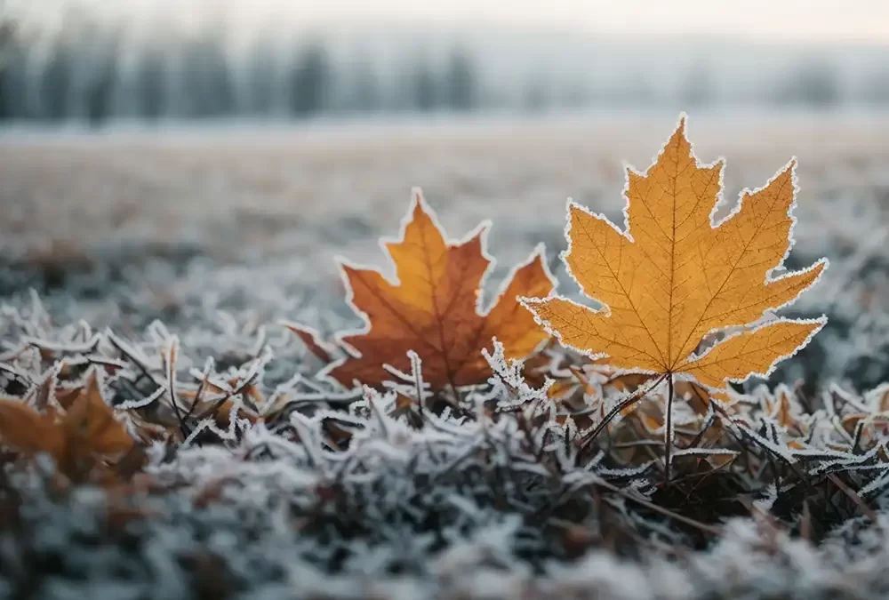 Preparing Your Roof and Gutters for Fall and Winter